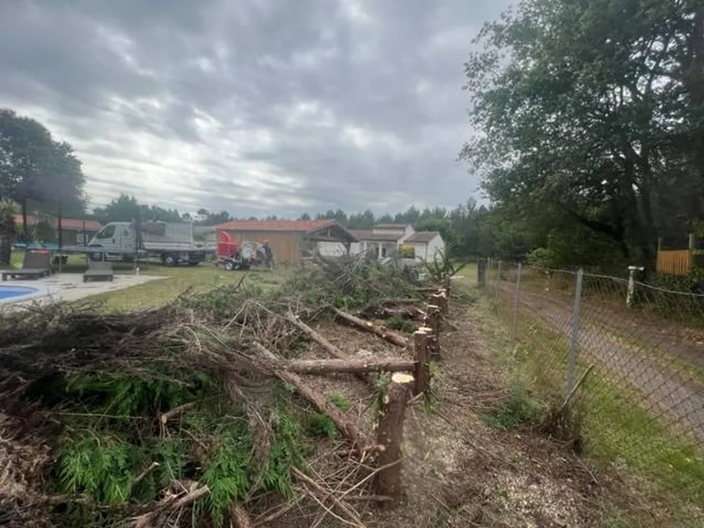 Transformation de votre espace extérieur verdoyant avec Evolution Paysage à Mézos dans les Landes