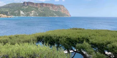 Comment me rendre à cassis et visiter les calanques avec un chauffeur privé VTC