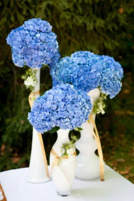 exclusive-private-villa-wedding-biarritz-ocean-front