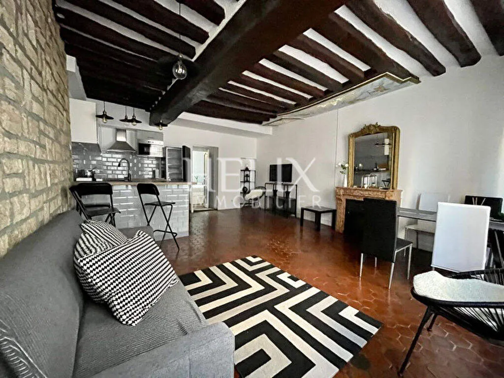 Terrasse en plein coeur de Saint Germain en Laye, un appartement de 49 M² situé au 1er étage d'un immeuble ancien bien entretenu.