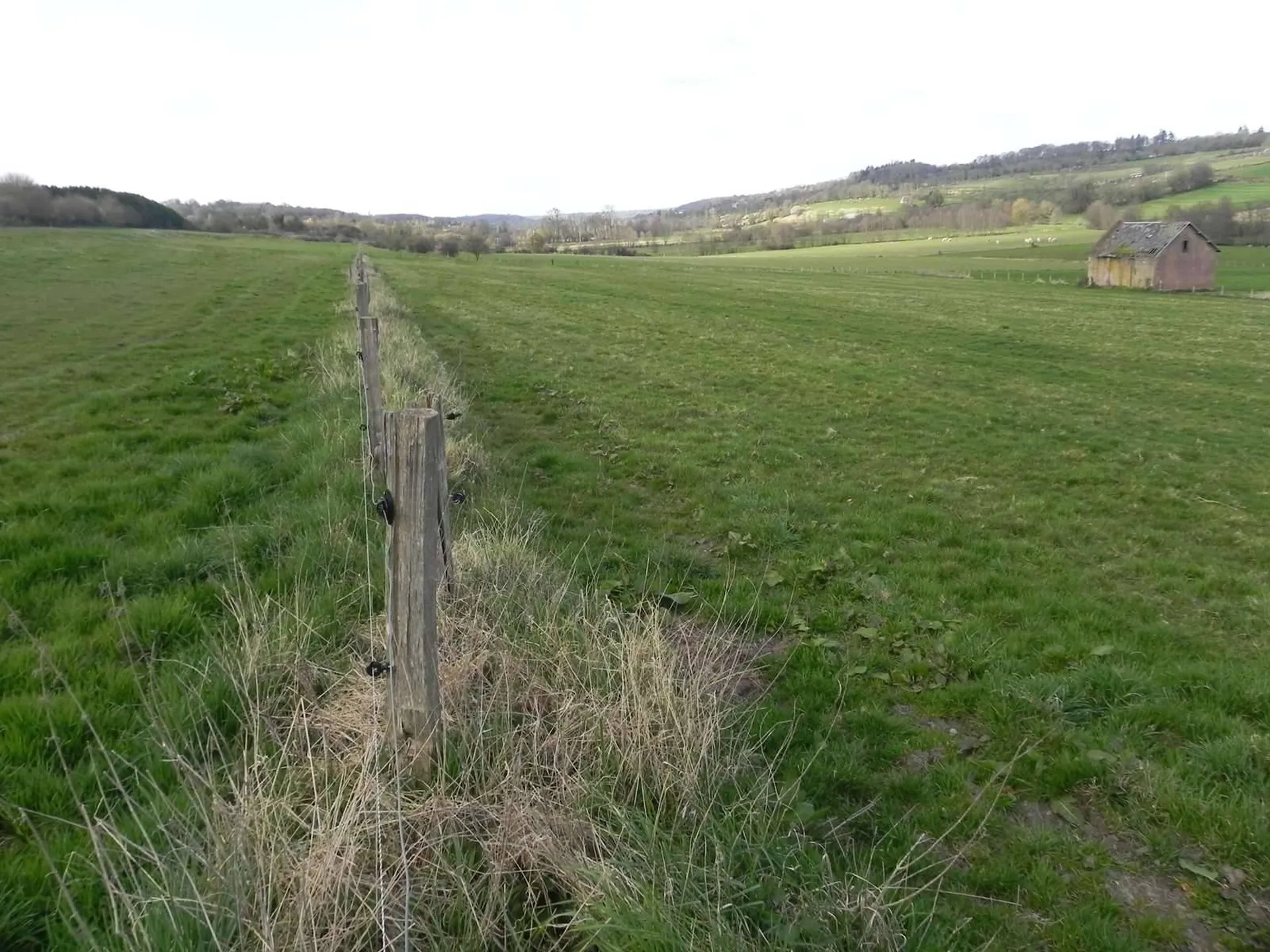 A vendre TERRAIN de 7,50 hectares et ses BATIMENTS AGRICOLES au Sud de LIVAROT 14140