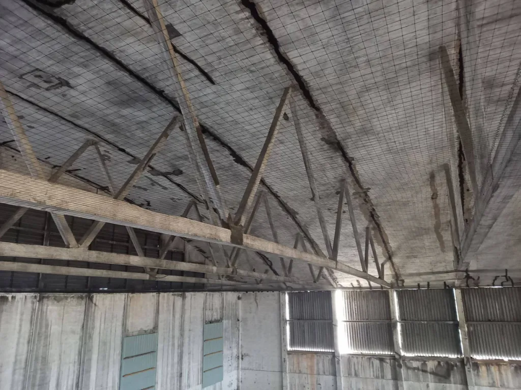 contre les pigeons sous hangar