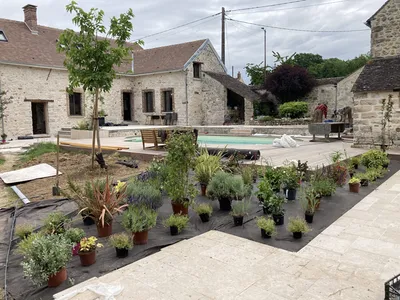 disposition avant plantations