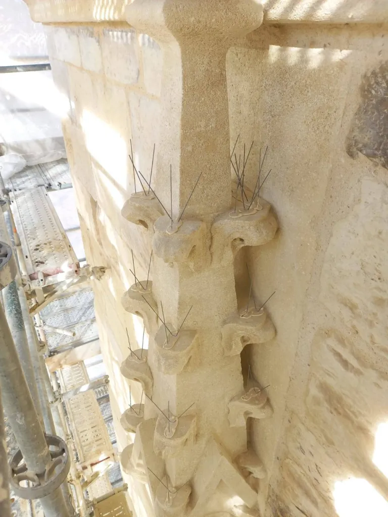 anti pigeon istres efficace
