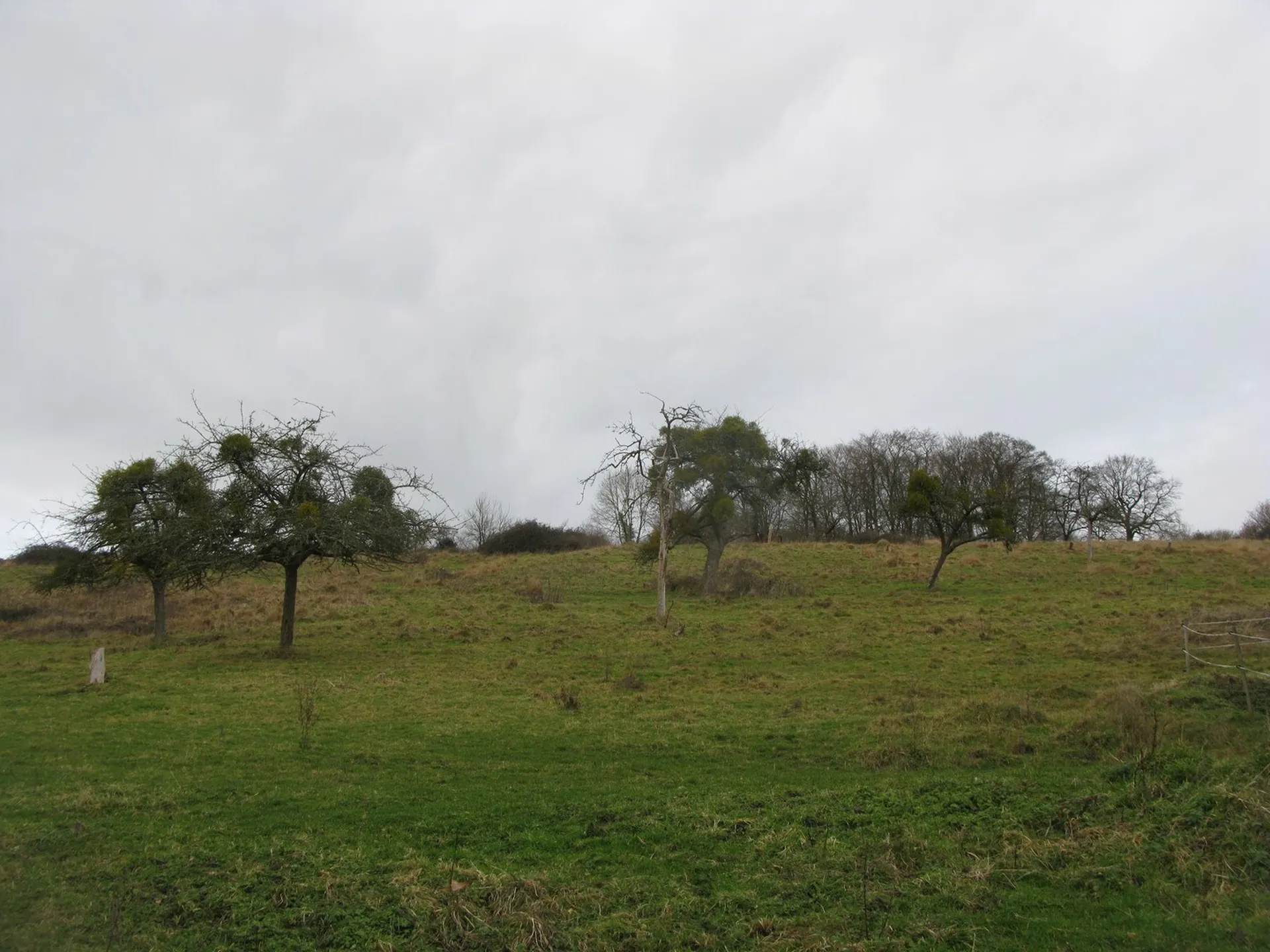 MAISON NORMANDE Proche Cambremer, Pays d'Auge