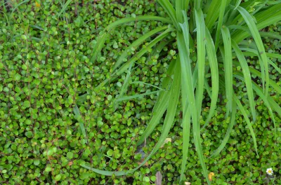 UNE RÉALISATION À LA HAUTEUR D'UN CHÂTEAU D'EXCEPTION SITUÉ DANS LE MÉDOC