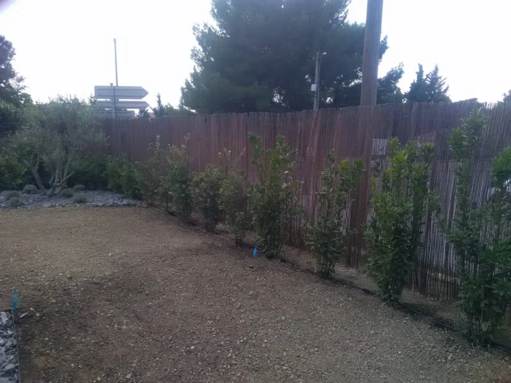 Plantation haie persistante Rognac 13340