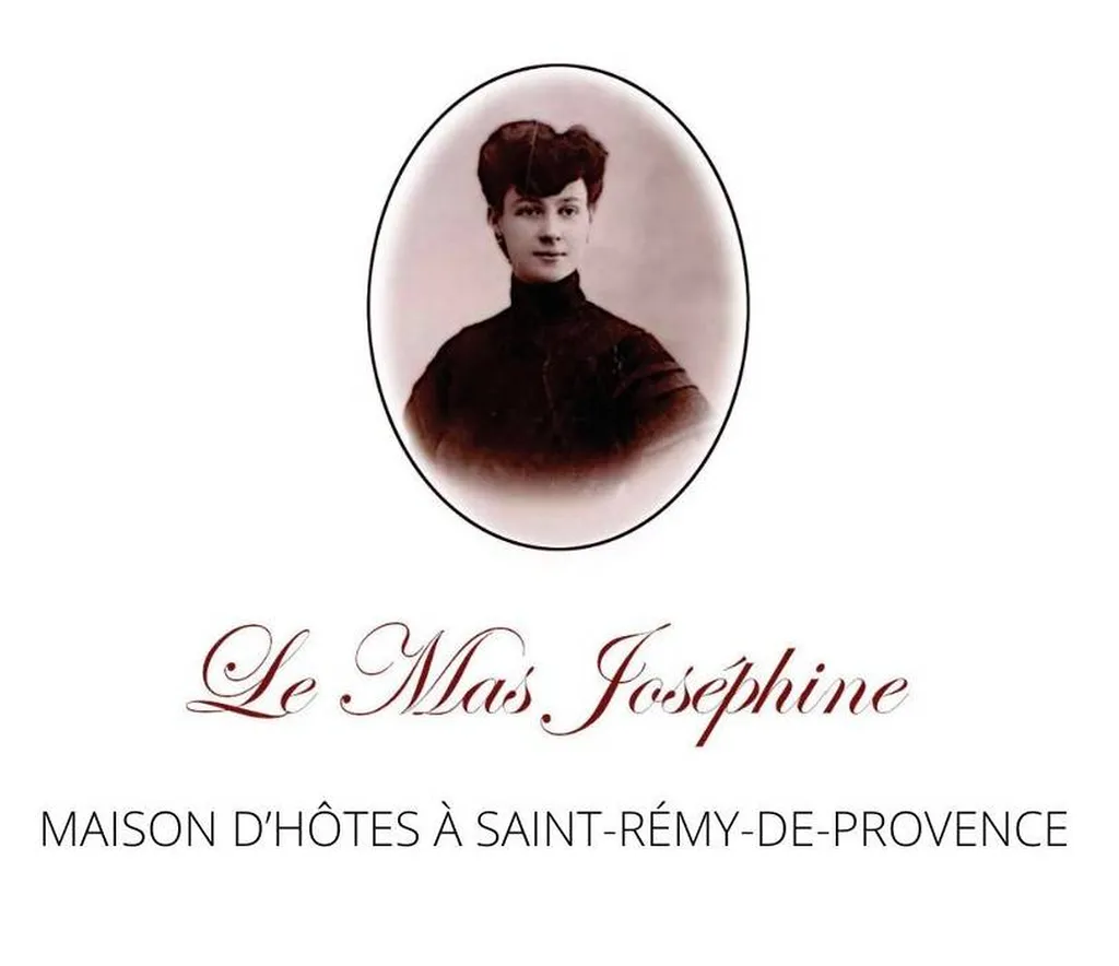 Location saisonnière et maison d'hôtes à Saint Remy de Provence - Le Mas Joséphine