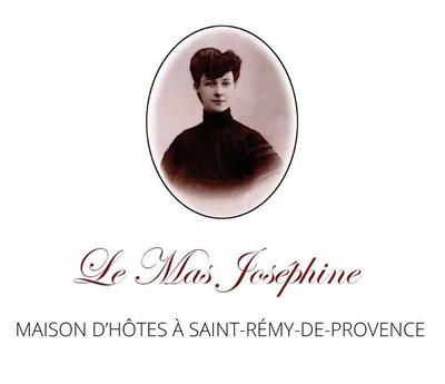 Location saisonnière et maison d'hôtes à Saint Remy de Provence - Le Mas Joséphine