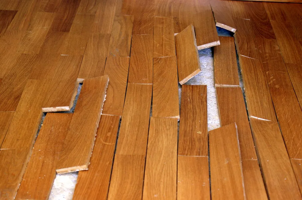 Constat liés à des nuisances ou des dégradations dans votre habitat à Villeurbanne et le secteur de Lyon