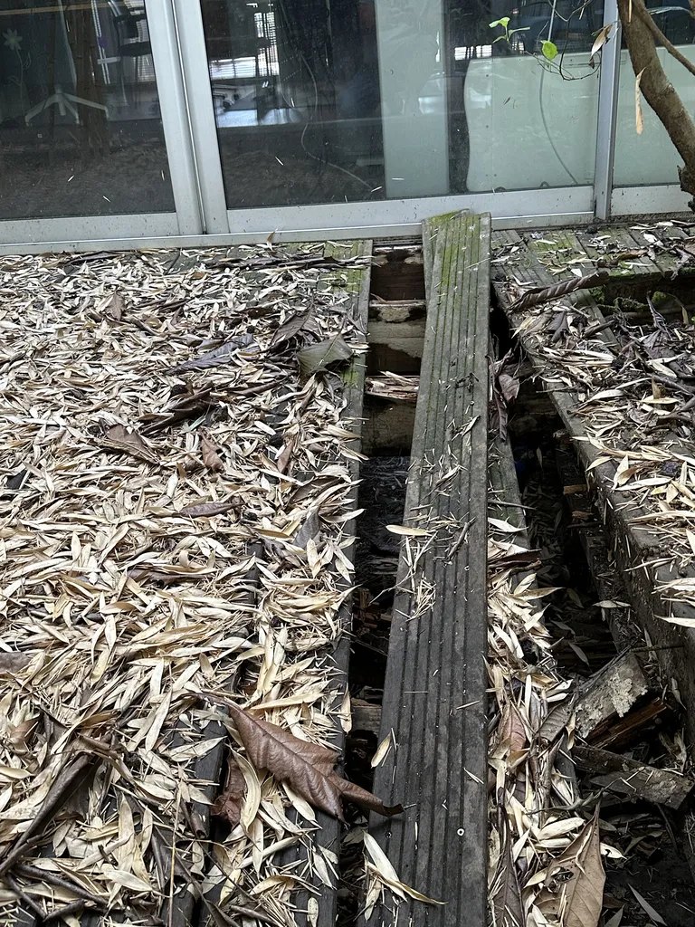 Rénovation d'une terrasse en bois à Cenon (33150) – Remplacement du sapin par de l'Ipé
