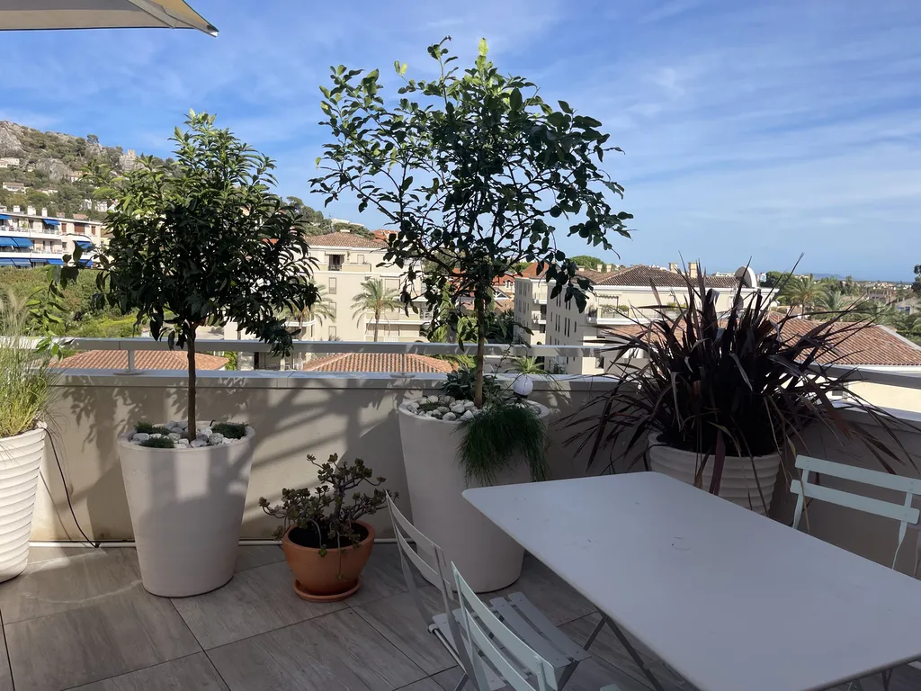 Création de jardinières avec végétaux méditerranéens, arrosage goutte-à-goutte et clôture bambou à Hyères-les-Palmiers