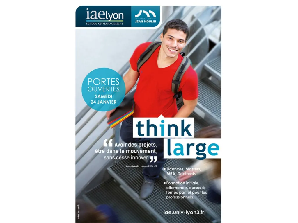 Iaelyon School of Management Université Jean Moulin Lyon 3  