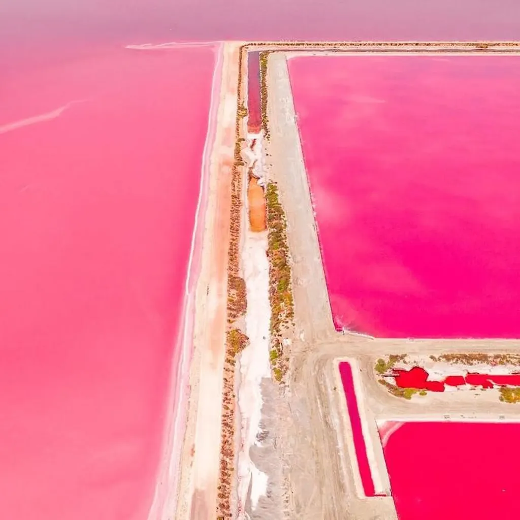 Visite des salins à aigues mortes en 4X4 avec Safari Camargue.