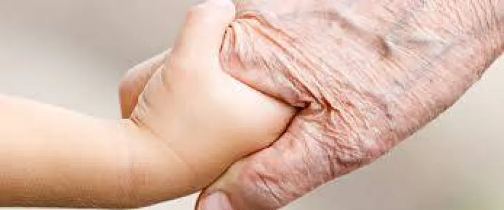 Nos prestations sur le secteur deGrenoble (38), Isère