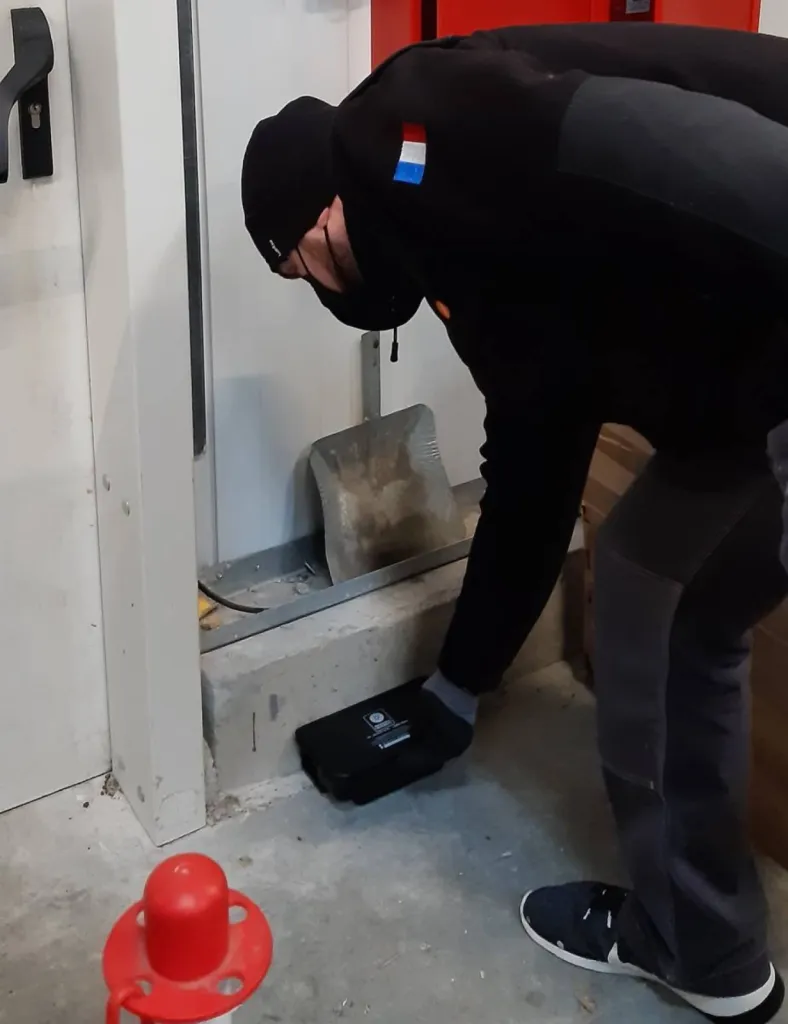 rats à berre tuer les rongeurs 