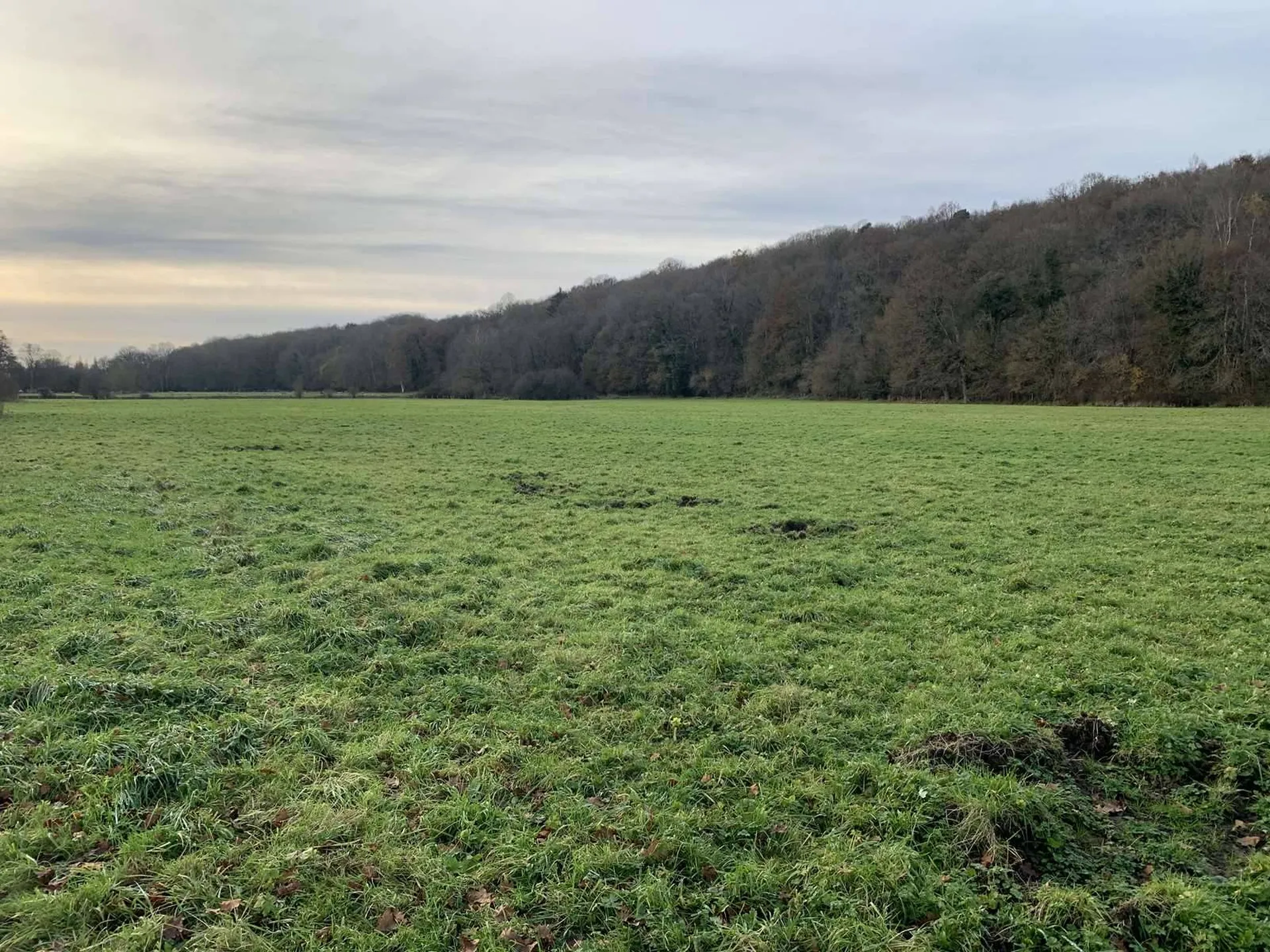 Région de BROGLIE (27270) Dans la vallée de La Charentonne : Terrain agricole sur 13 ha en nature d'herbage