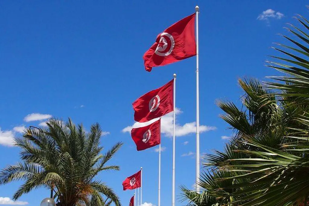 Transporteur France Tunisie pas cher