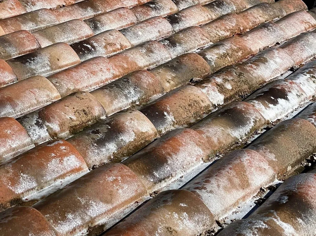 Nettoyage et traitement d’une toiture de maison en tuile Abeille sur Fuveau près de Aix en Provence.