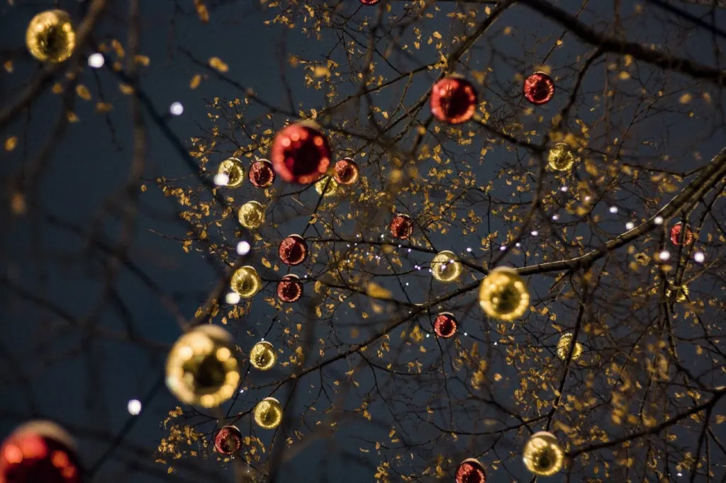 Vos commandes de Noël à récupérer avant 18h le 24 décembre 2023