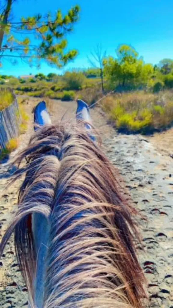 balade a cheval el rancho 