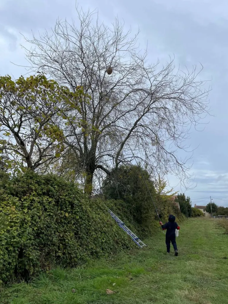 Nos prestations sur le secteur deLatresne 33360 en Gironde