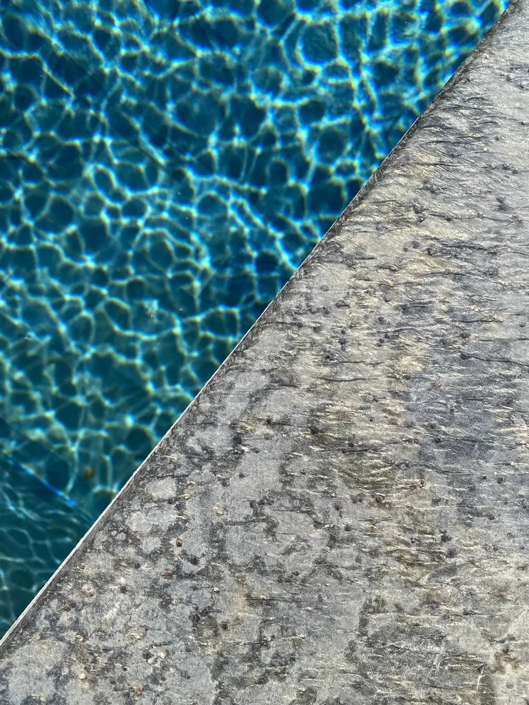 Margelles de piscine en Pierre de Deoli à Saint Gabriel 