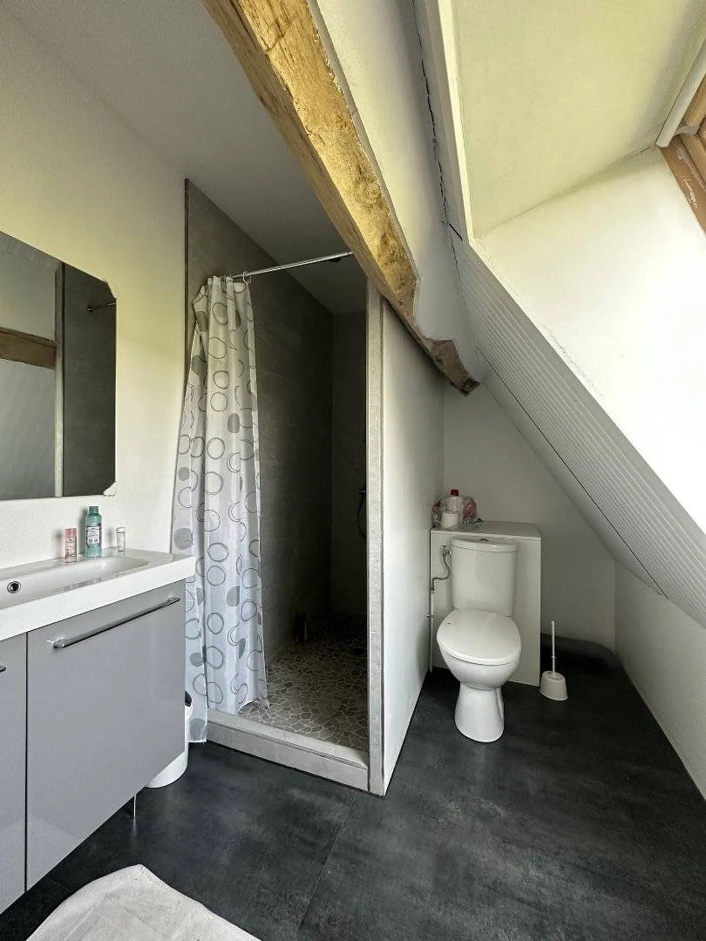 Vends authentique maison du 17ème siècle en briques et silex et d'une seconde maison récemment rénovée.