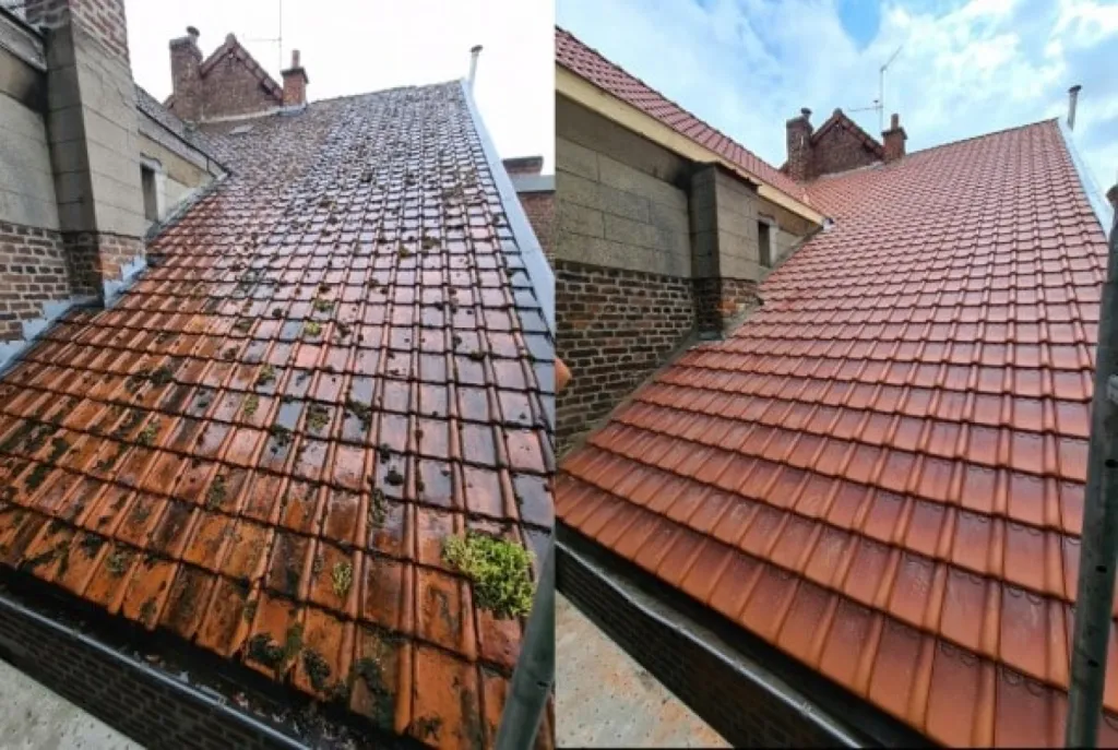 Nettoyage professionnel de toiture avec équipement adapté aux toits sensibles à Talence