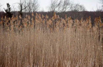 Débroussaillage autour des habitations dans le Gard, le Vaucluse et les Bouches du Rhône