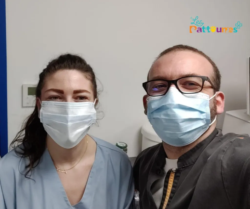 Bienvenue dans la boutique vétérinaire des Pattounes à Toulon