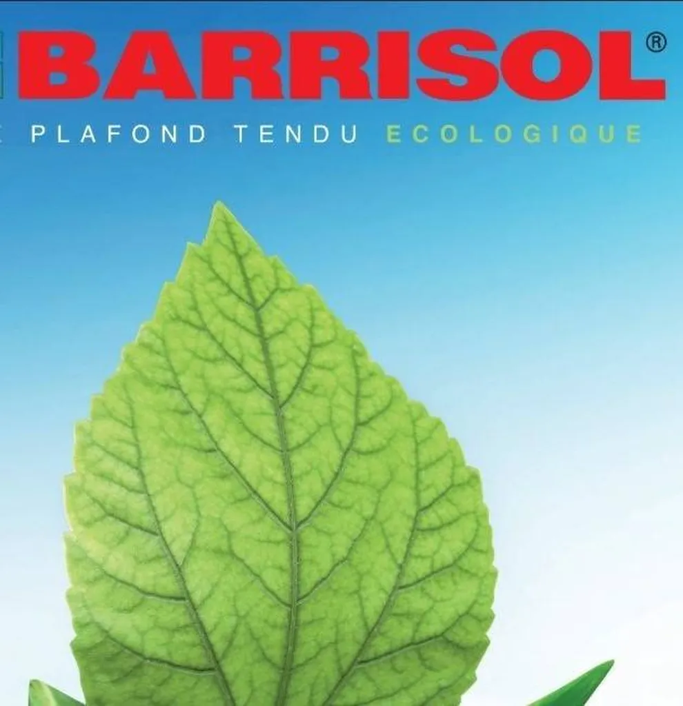 BARRISOL, la garantie d'un produit écologique au plafond Toulouse