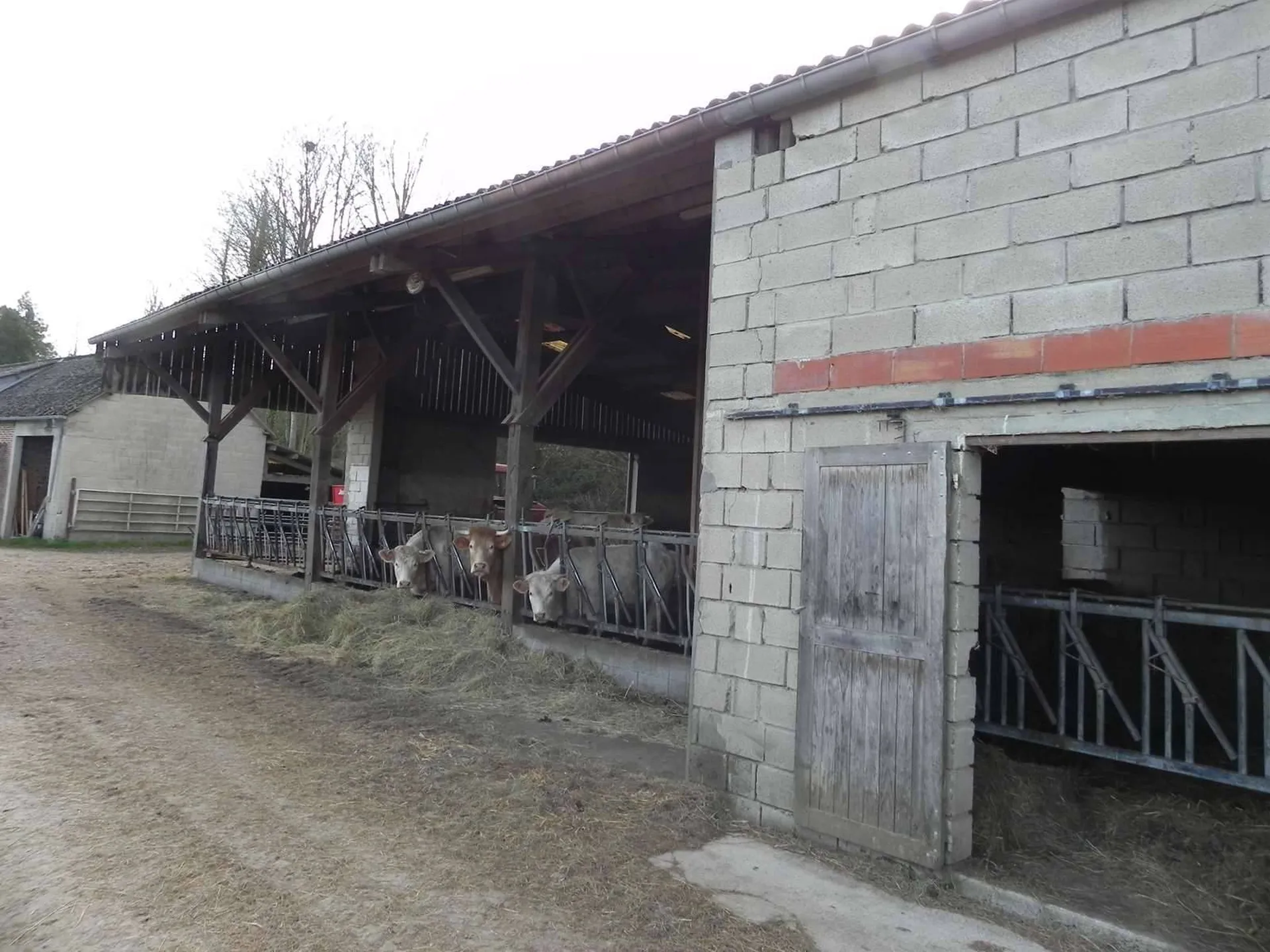 Achat dans le CALVADOS 14, dans la région du PAYS D'AUG, un ensemble immobilier constitué de 7Ha 50a d'herbages et de ses bâtiment agricoles.