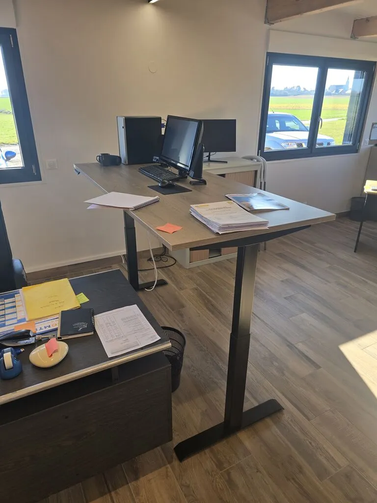 bureaux assis debout 