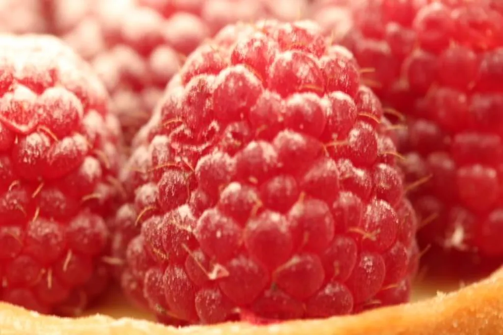 framboisier,villefranche sur saone