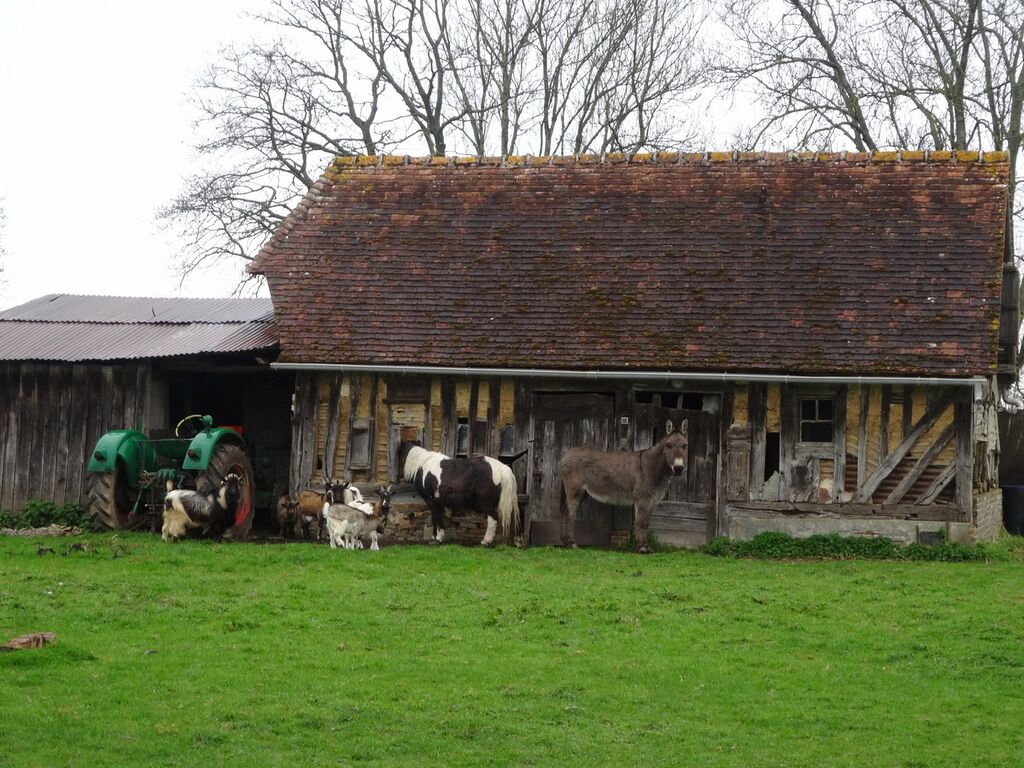 MAISON A VENDRE TERRAIN CHEVAUX PROCHE DEAUVILLE