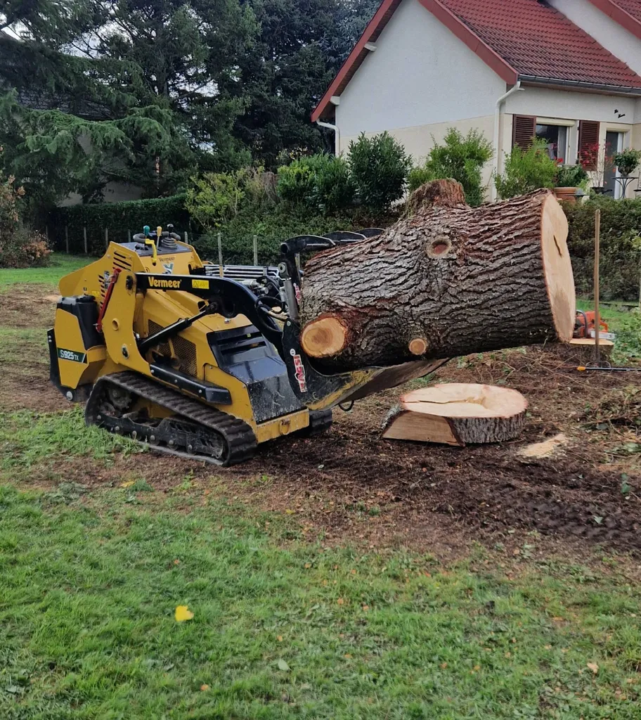 Elagueur paysagiste  pour l'abattage d'arbre à RIORGES