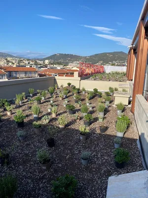 Jardinières sur toiture terrasse prêtes à la plantation à Nice