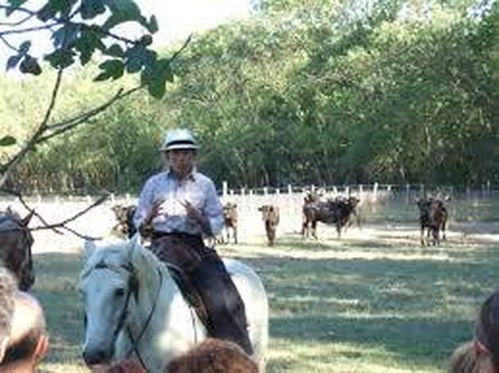 Manade Agde proche camping