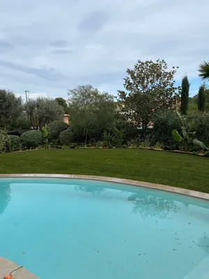 Jardin avec gazon et massifs arbustifs à Monaco