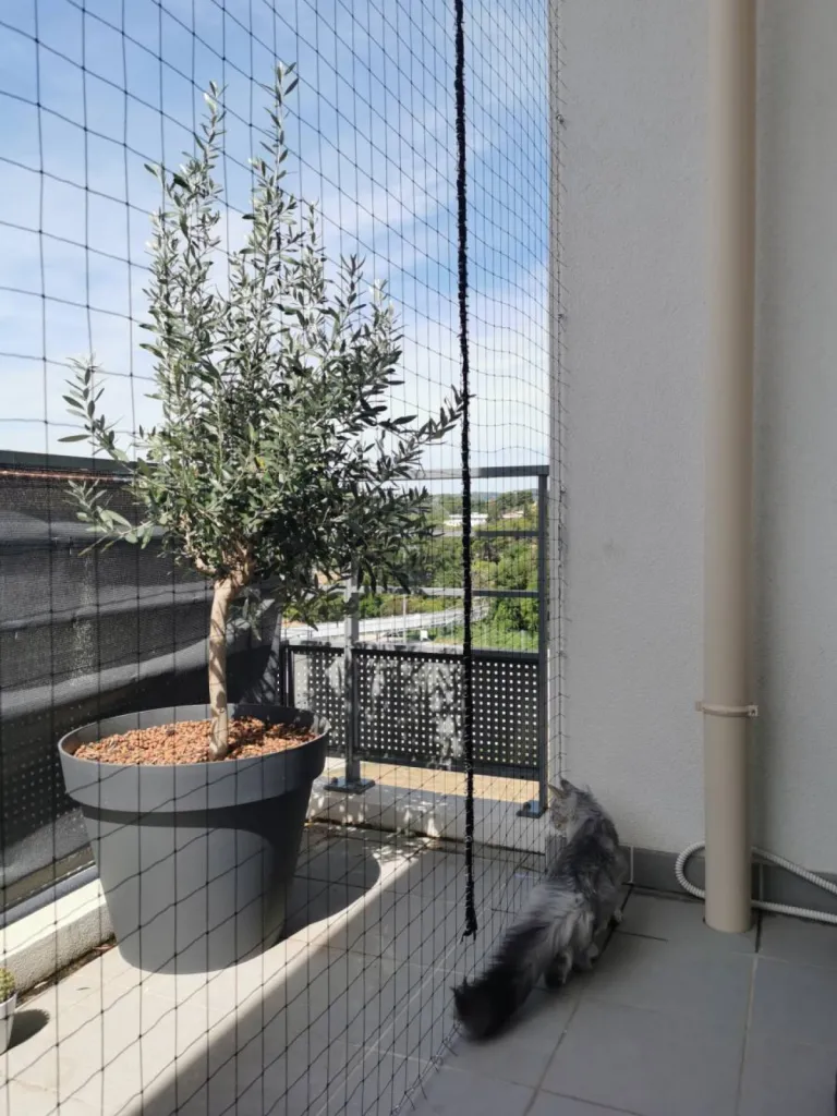 filet anti chute pour chat istres 13