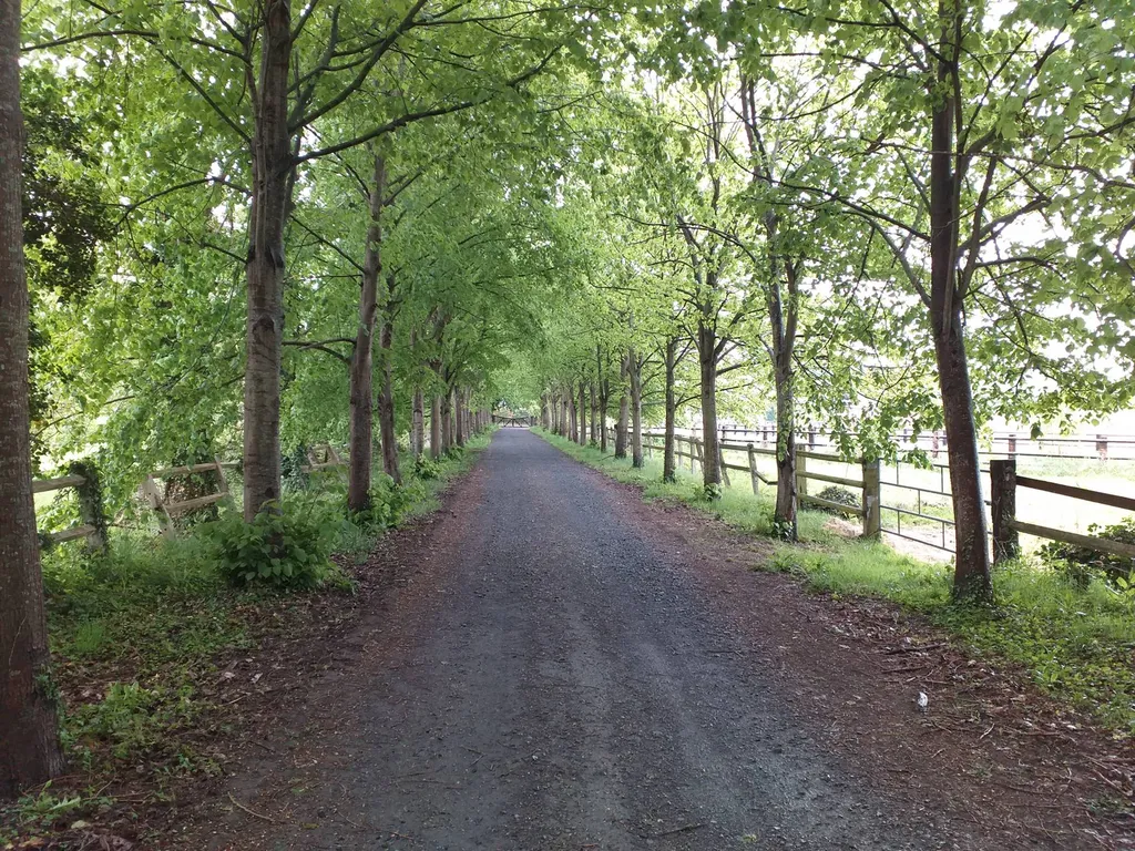 Manoir du XVI ème siècle, Région Pont l'Evêque, Calvados 14.