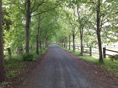 Manoir du XVI ème siècle, Région Pont l'Evêque, Calvados 14.