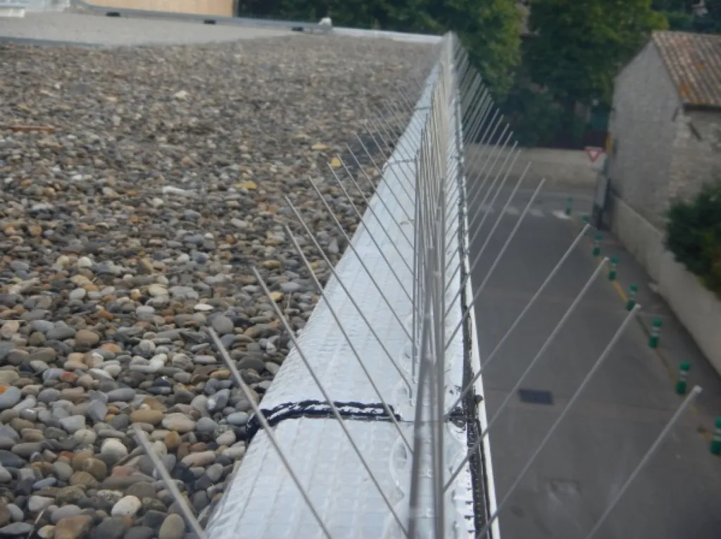Pic anti pigeon mairie de Coudoux