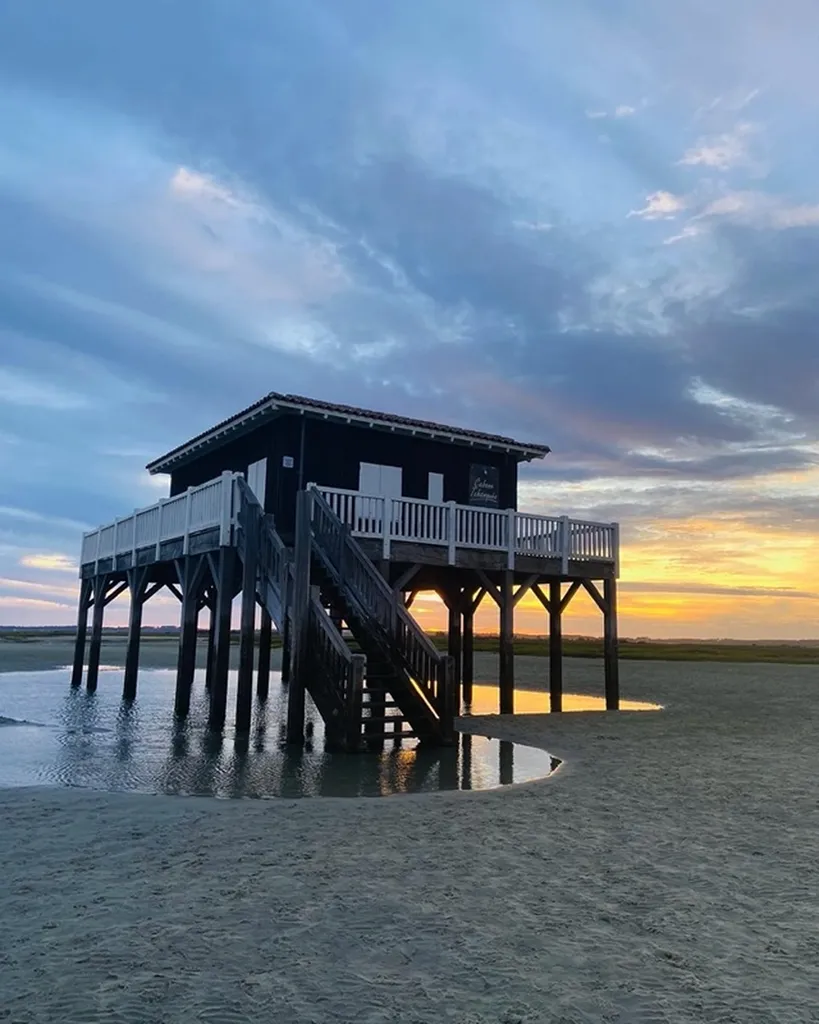 Apéros cabanes sur le bassin d'Arcachon: Profitez d’une excursion sur le bassin tout en dégustant : huîtres, bulots, crevettes, pâté Gascon, vin blanc.